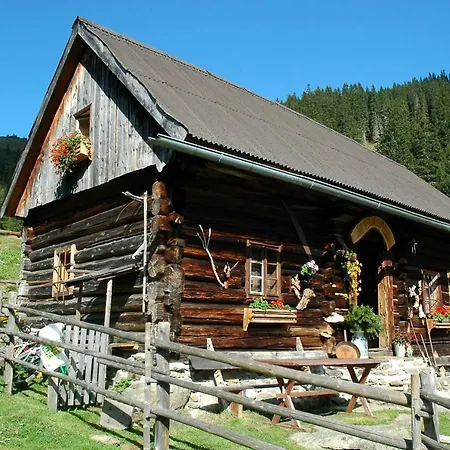 Prázdninový dům Chalet Riesneralm